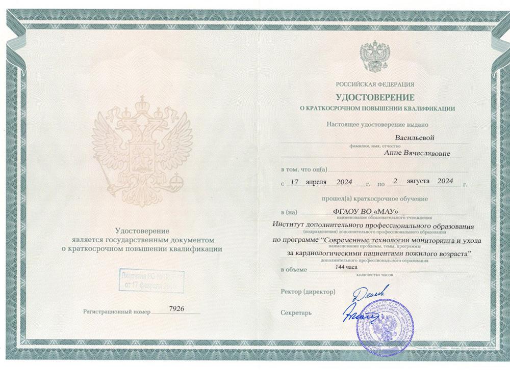 Повышение квалификации 2 Васильева
